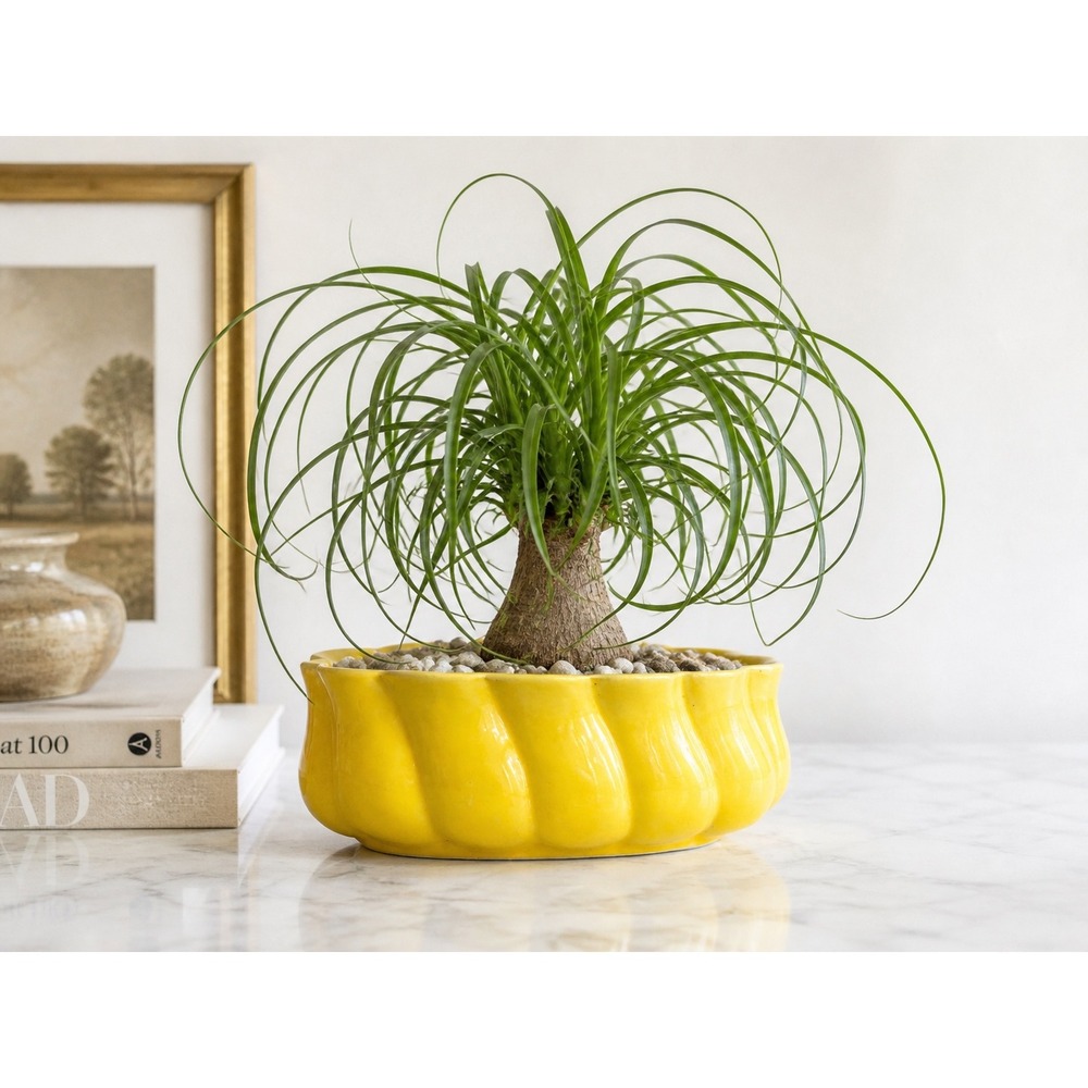 Maurice of California Ceramic Planter Yellow 1952 MCM Scalloped Oval Planter